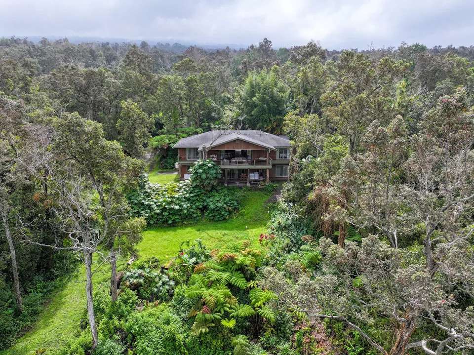Ohia Cloud Forest with Star Gazing