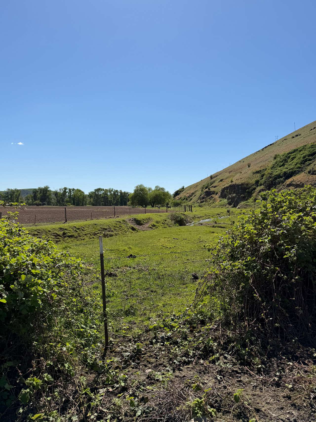 Ogden Ranch