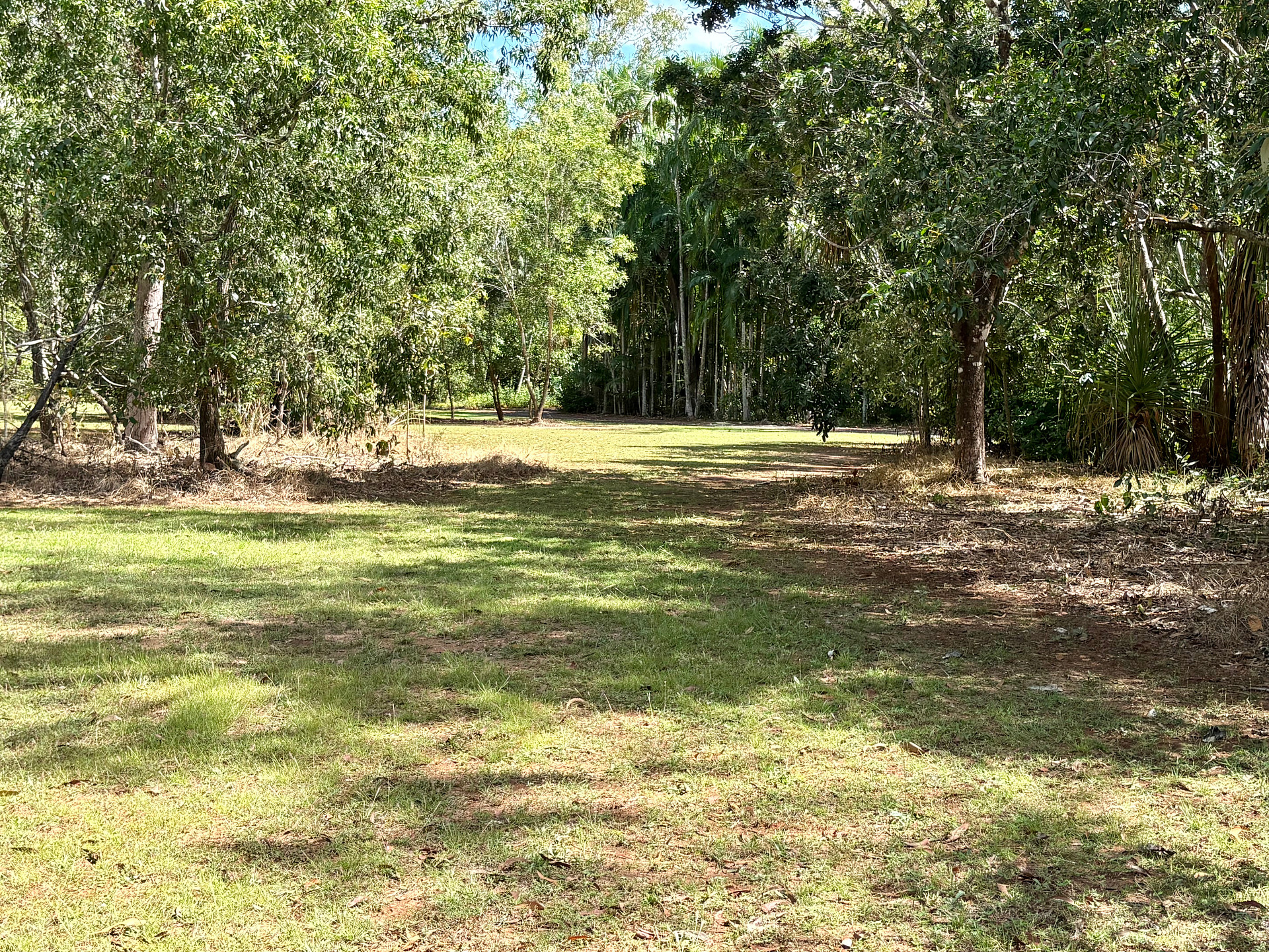 Enough shade under the trees and open space for cars and caravan