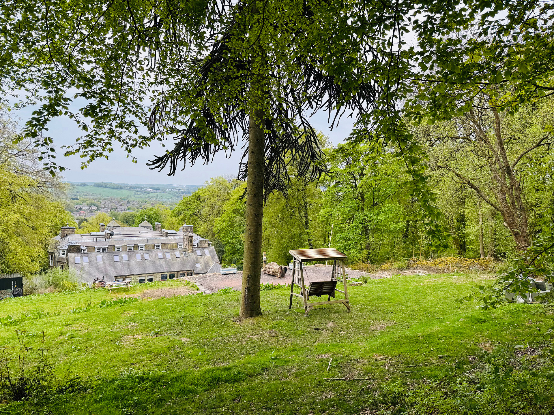 The Duchess's Meadow