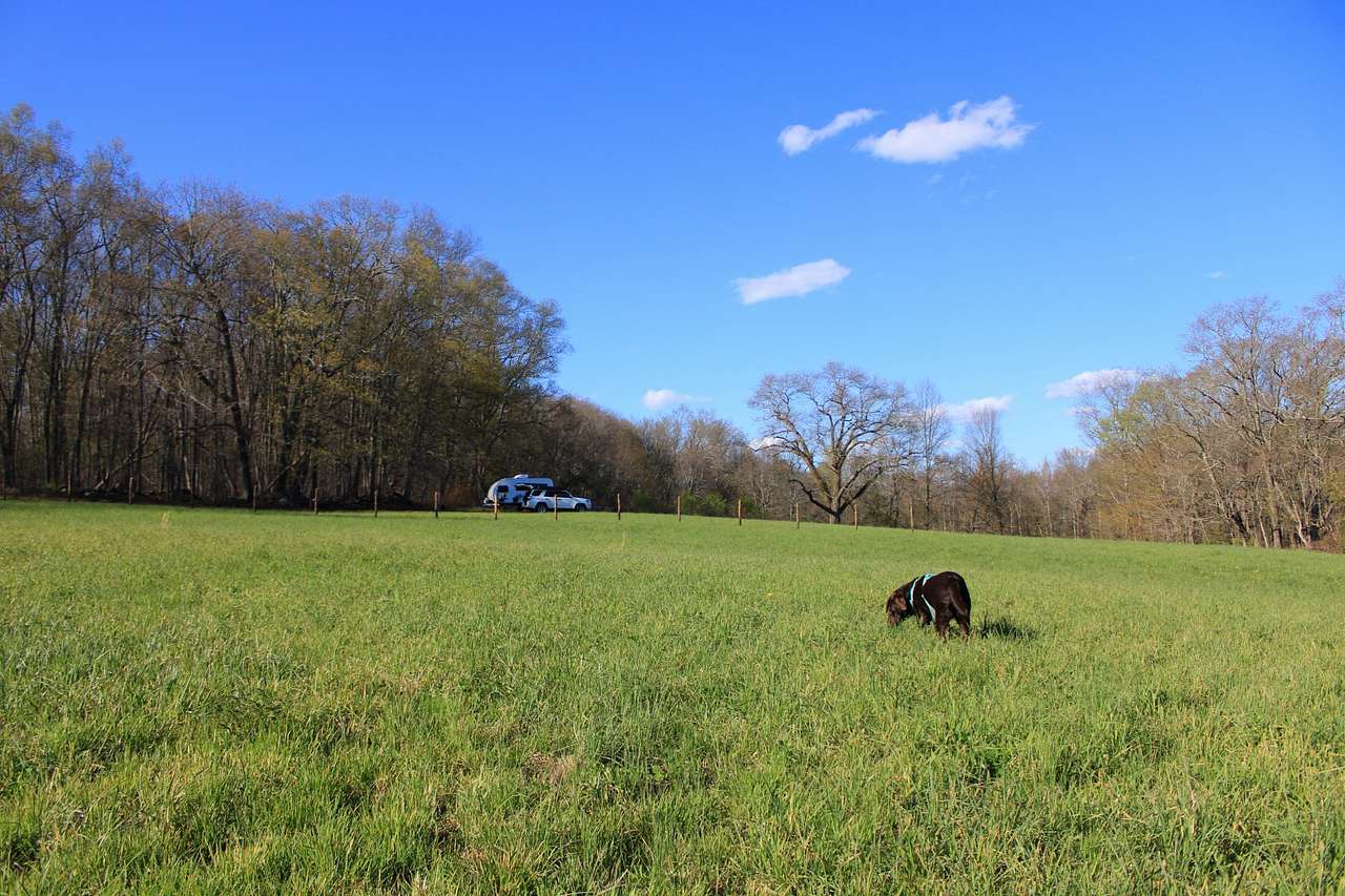 Goodfield Farm Rustic Camping