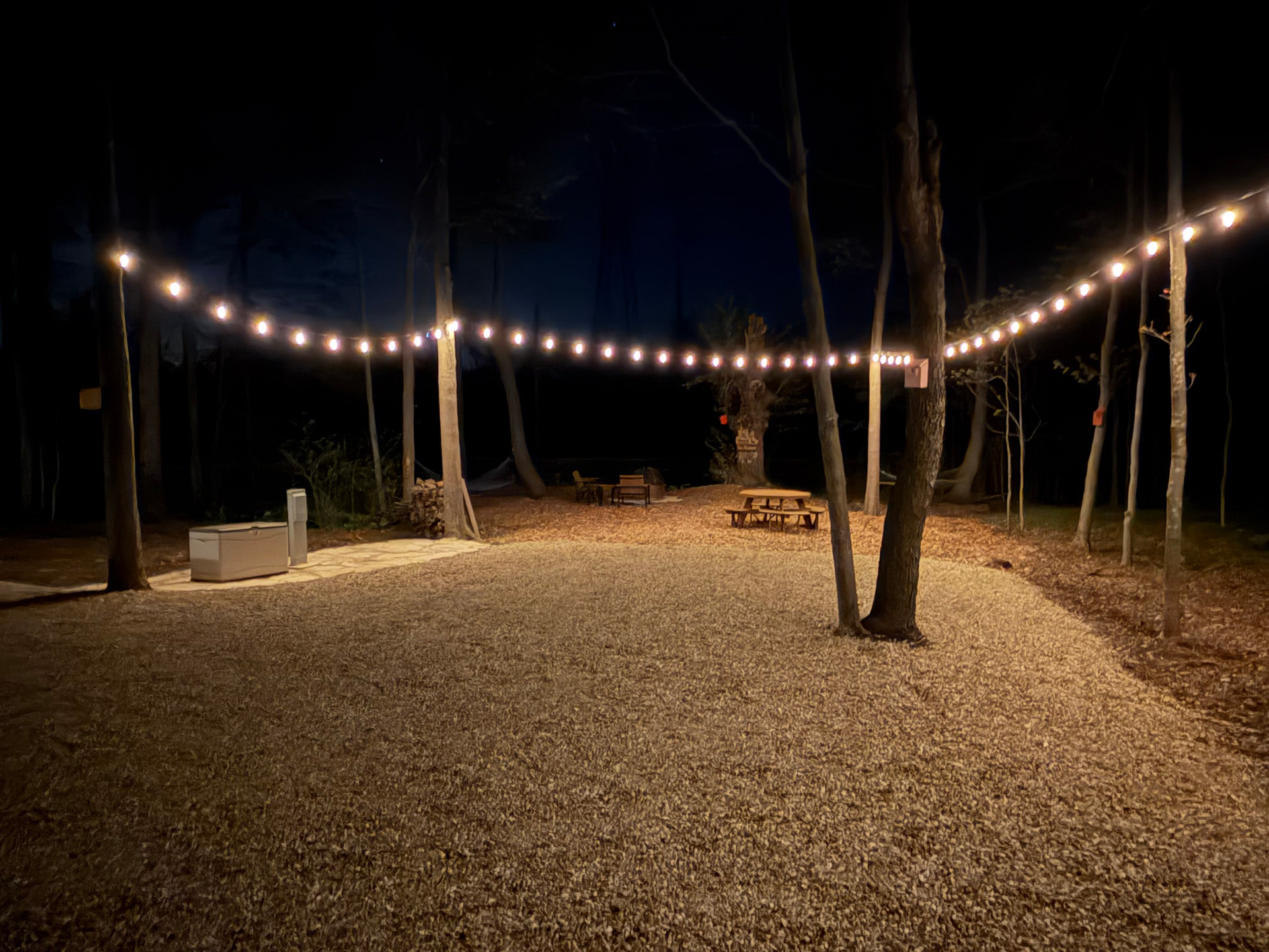Main area to park your camper or pitch your tent