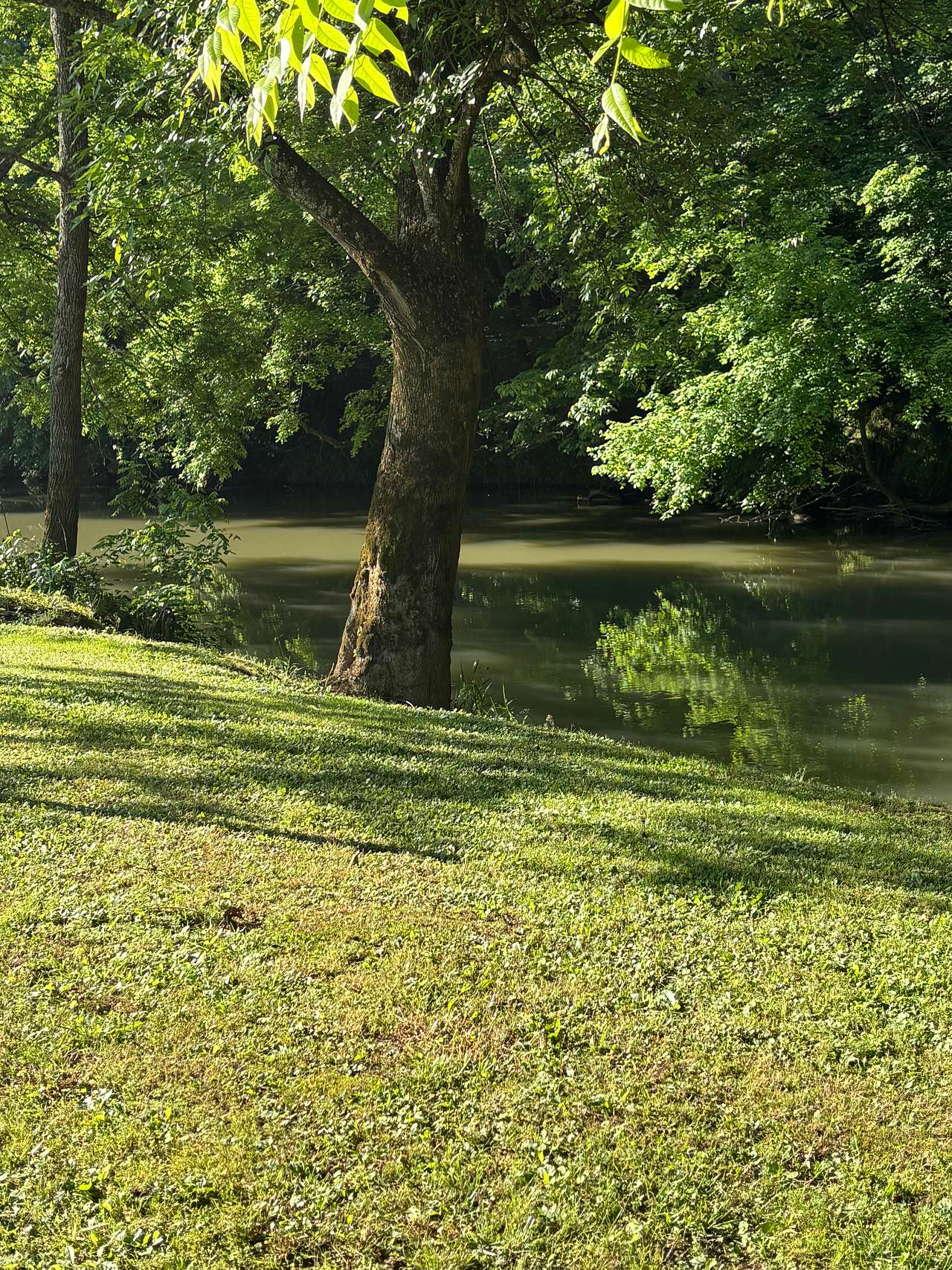 Ross Landing