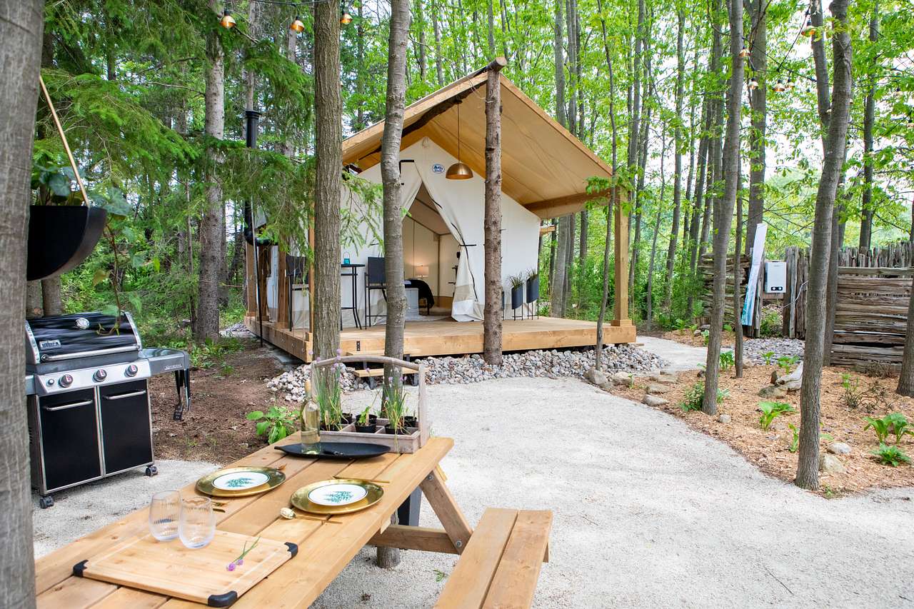 Mono Pines Glamping