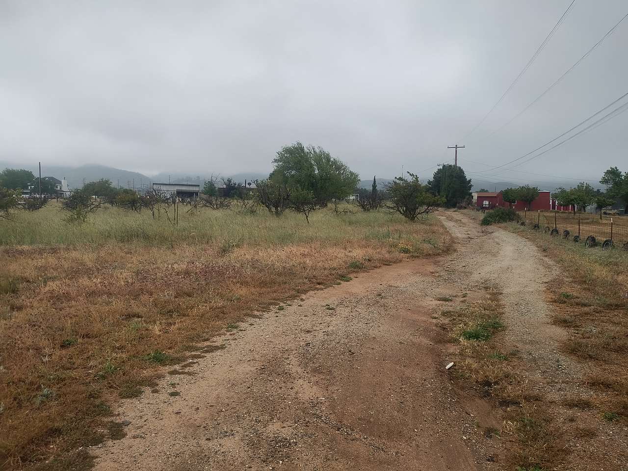 Weird Farm