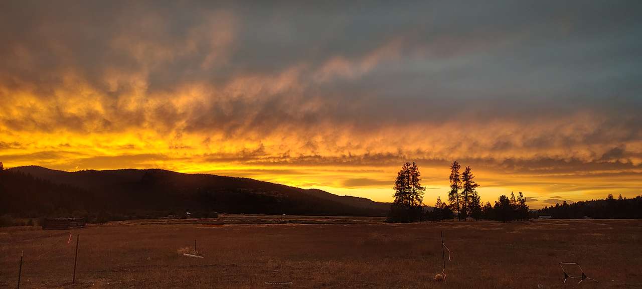 Eagle Rock Acres