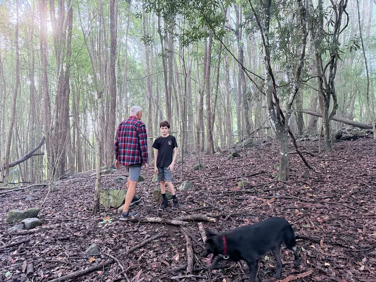 Forest exploring on the property