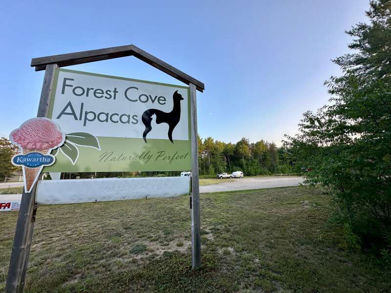 Forest Cove Farm