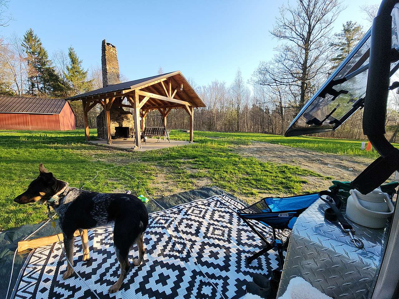 Puppers watching a little chipmunk near by. 