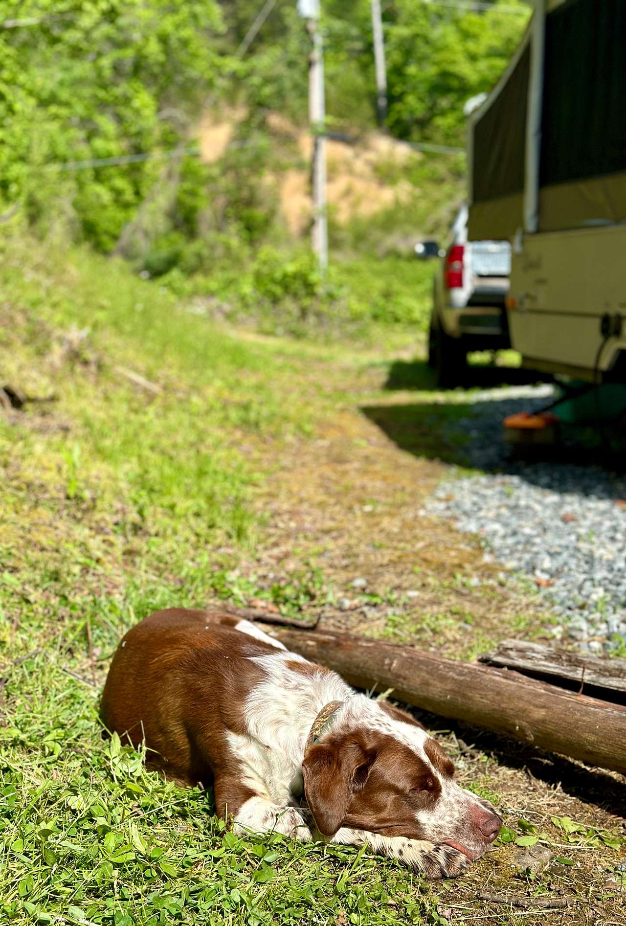 Clover Branch Camp