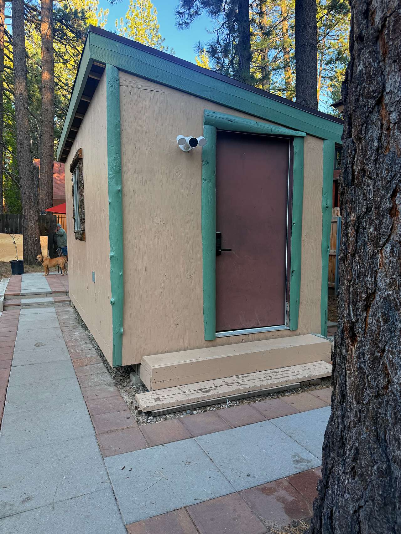 Big Bear Lake Tiny Home