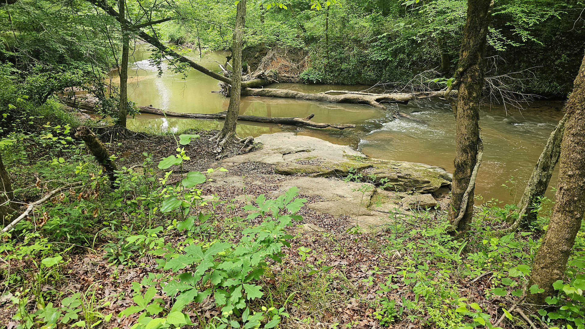 Snapping Shoals Creek
