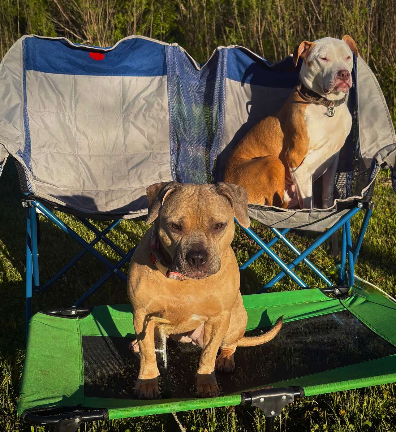 Colton and Maya Enjoying their Best Life!