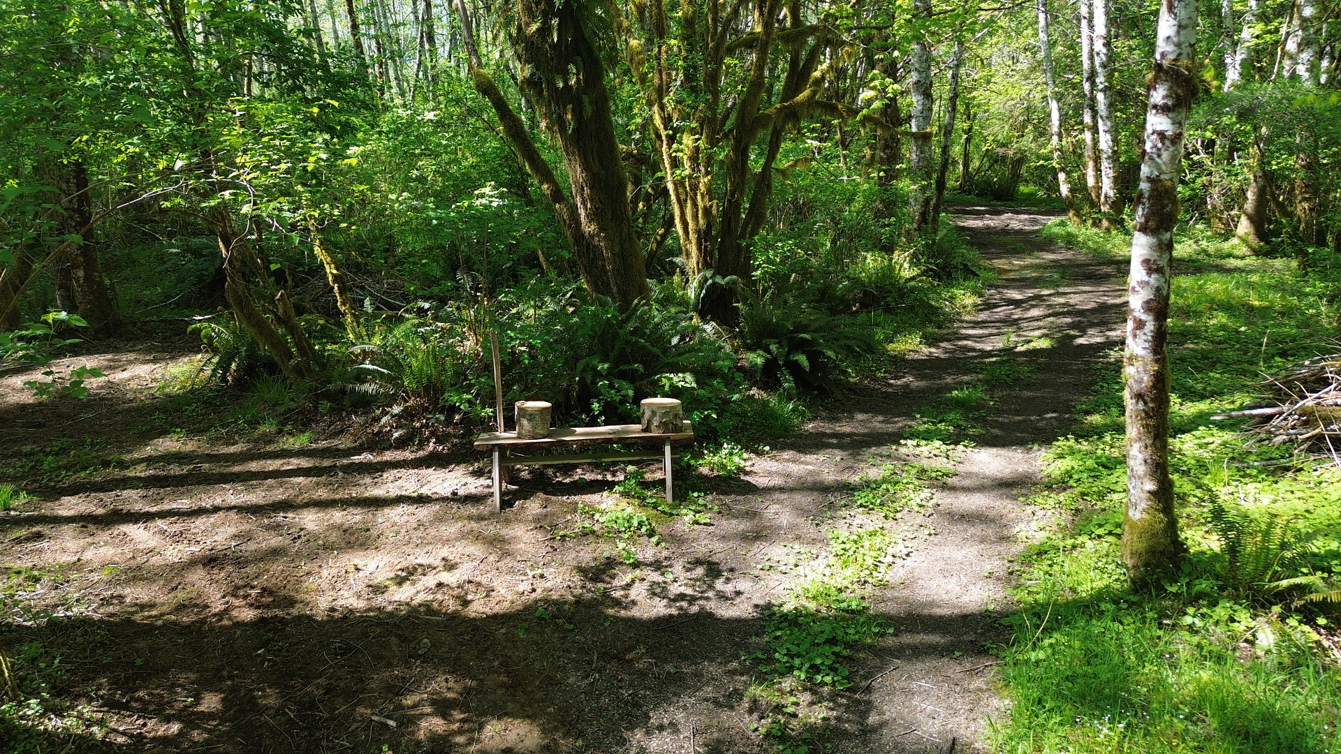 Rest & The River