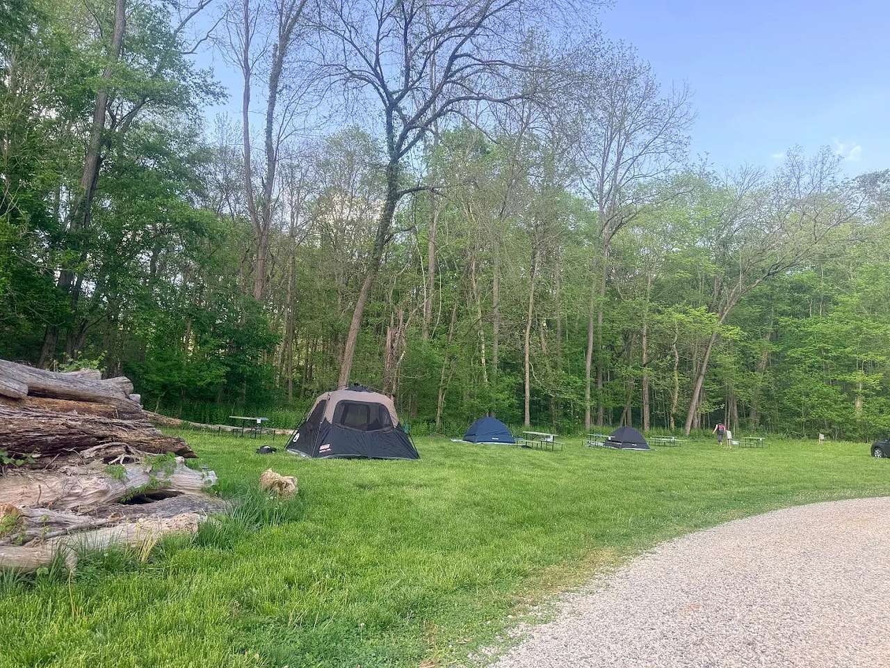 The Bright Spot Campground & Marina