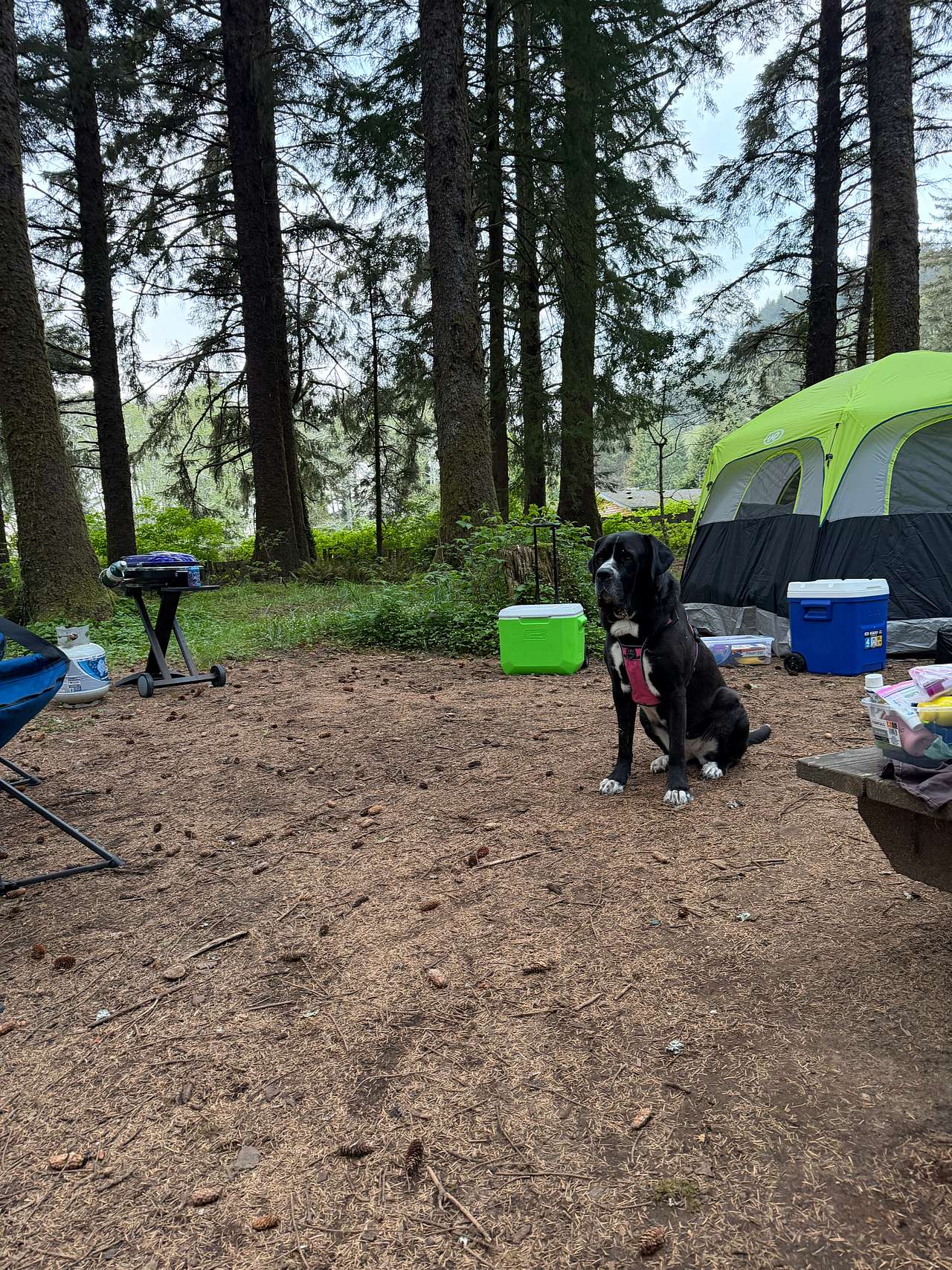 Lost Coast Adventure Camp