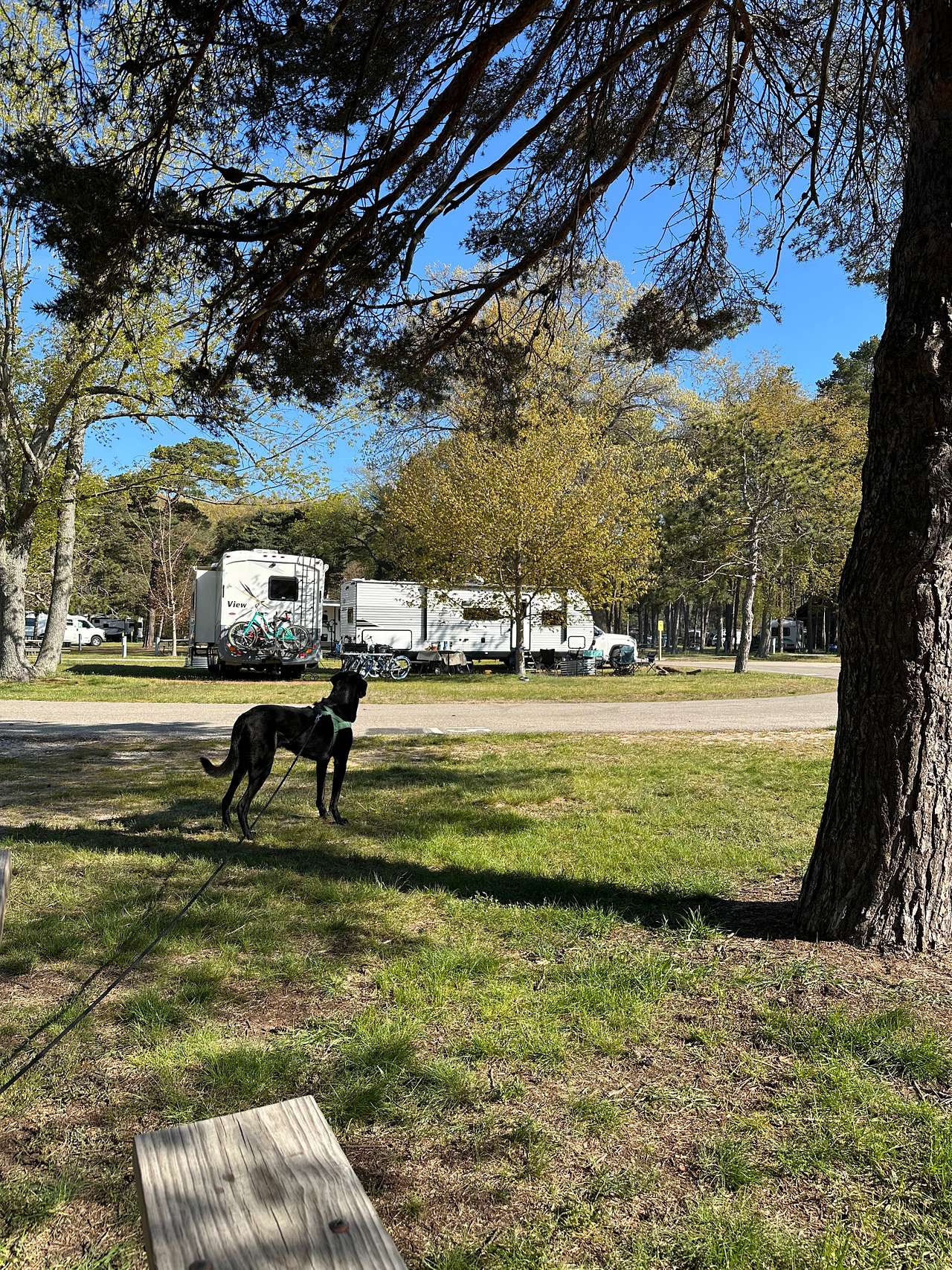 Holland Campground