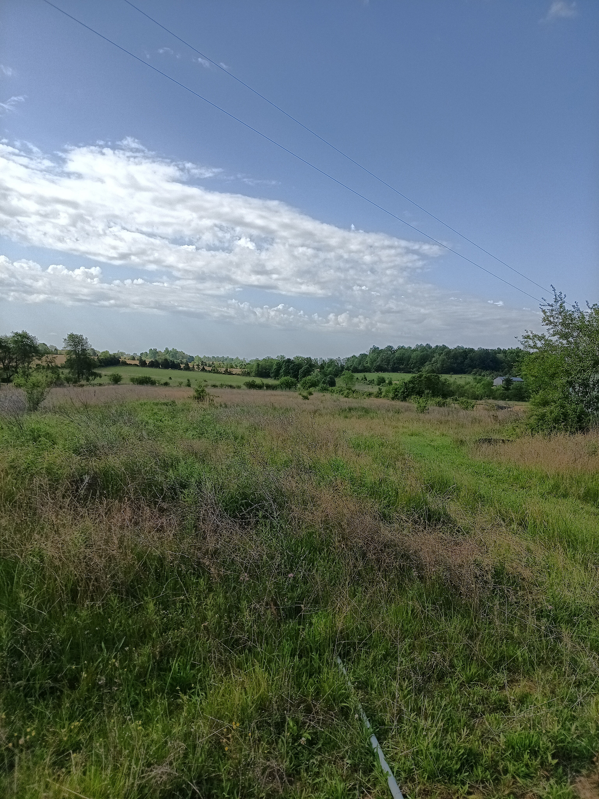 Ridgeview Farm