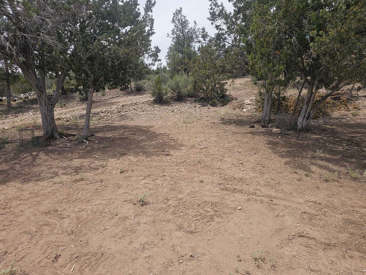 Junipine Ranch