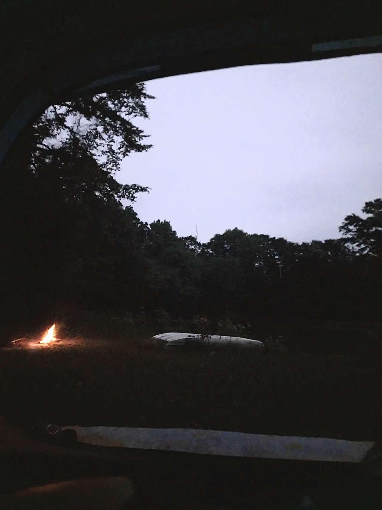 Evening by the pond