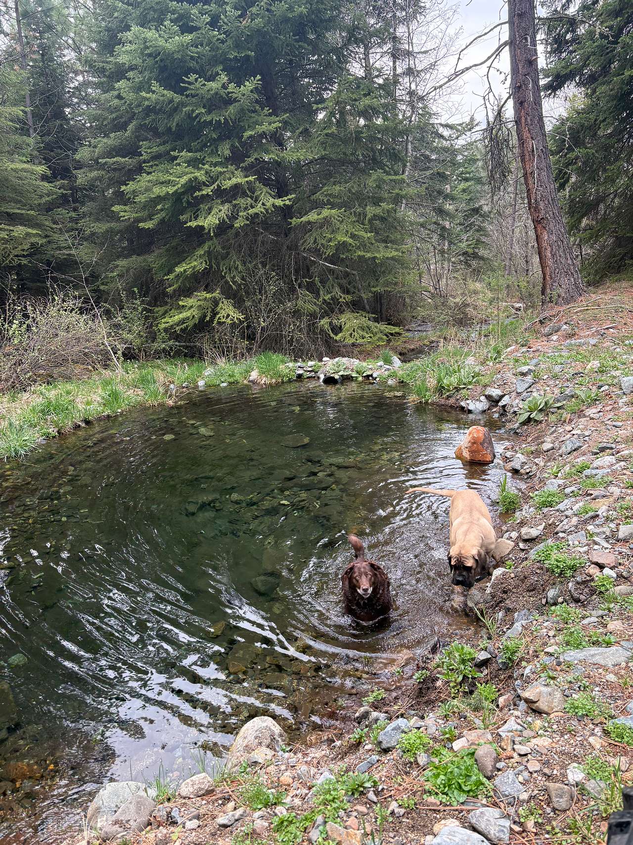 Wallowa Lake Camping by B&T Hulse