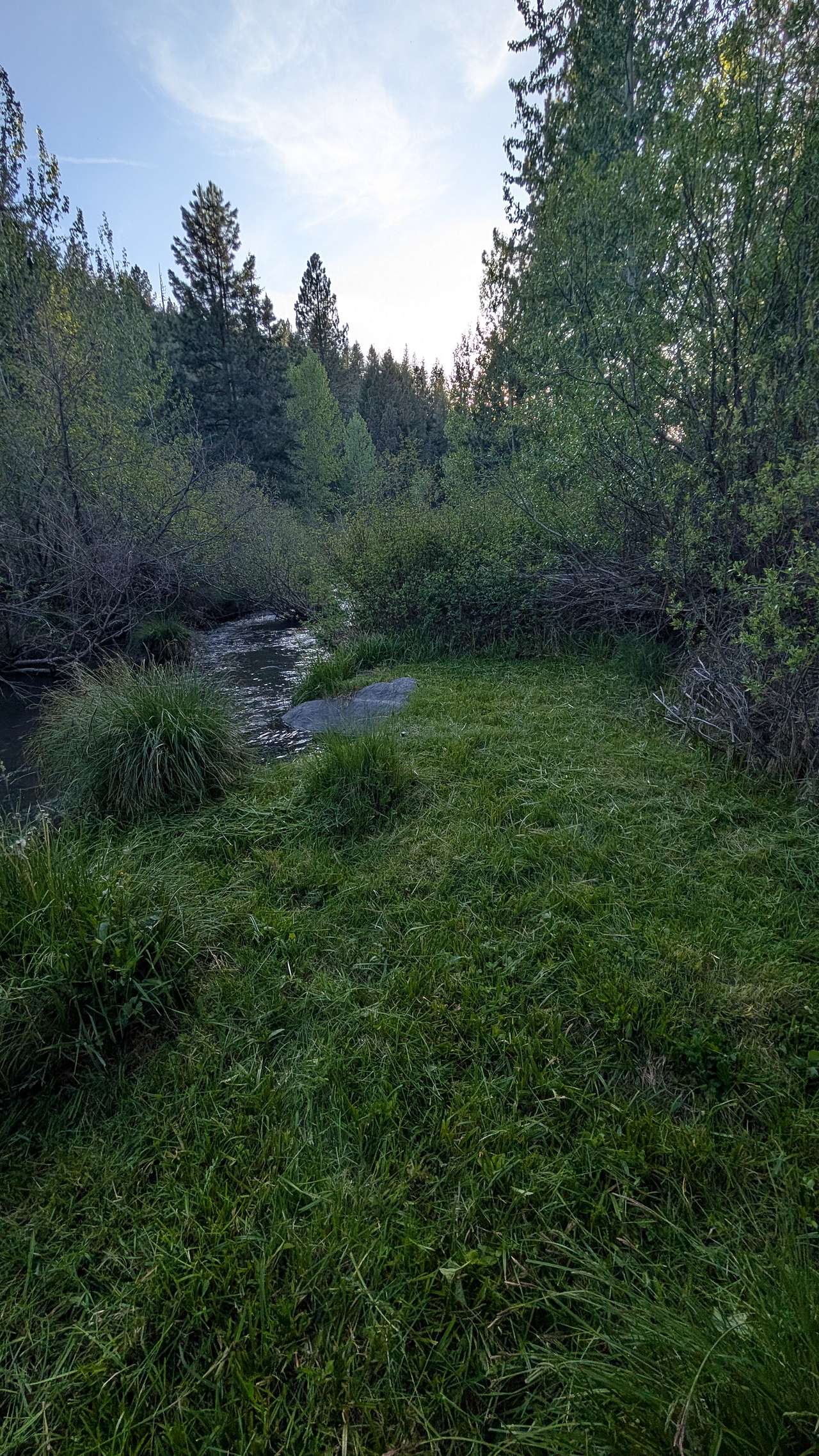 The Retreat on Big Grizzly Creek
