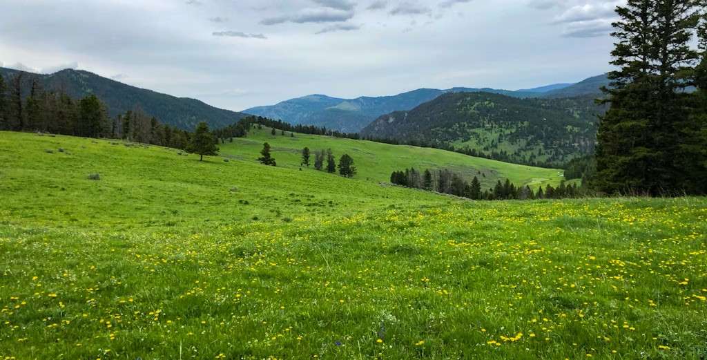 Gallatin Canyon Camp