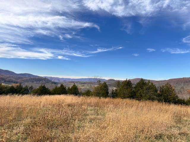Wolf Creek Preserve