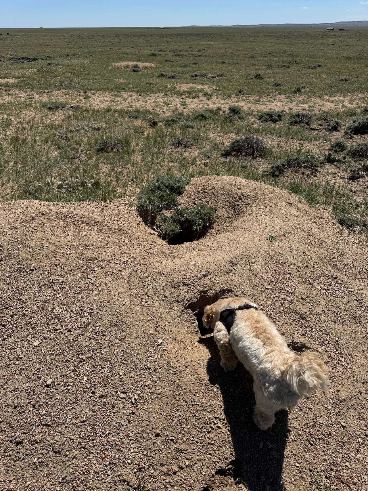 Exploring