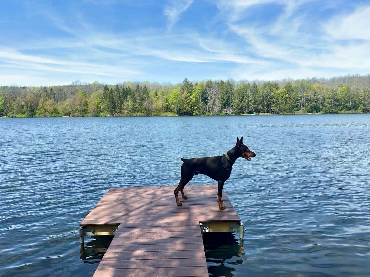 Smyrna Lake Campsite