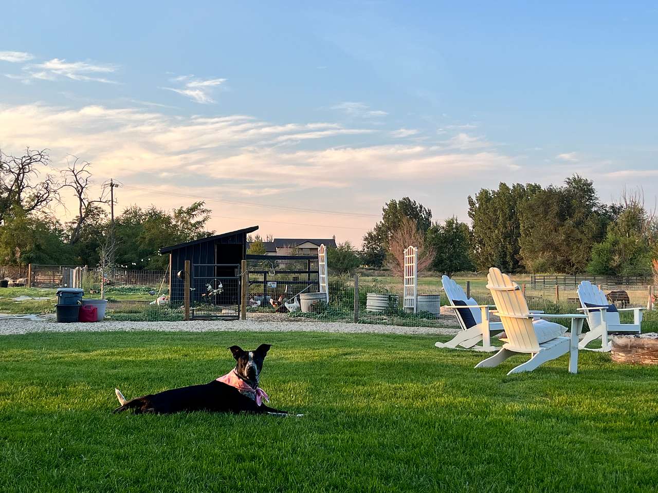Whiskey Ranch Of Idaho