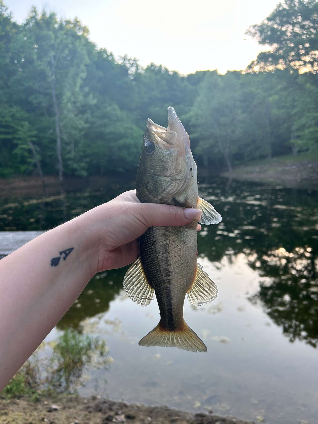 The stocked pond made for a great evening 🎣