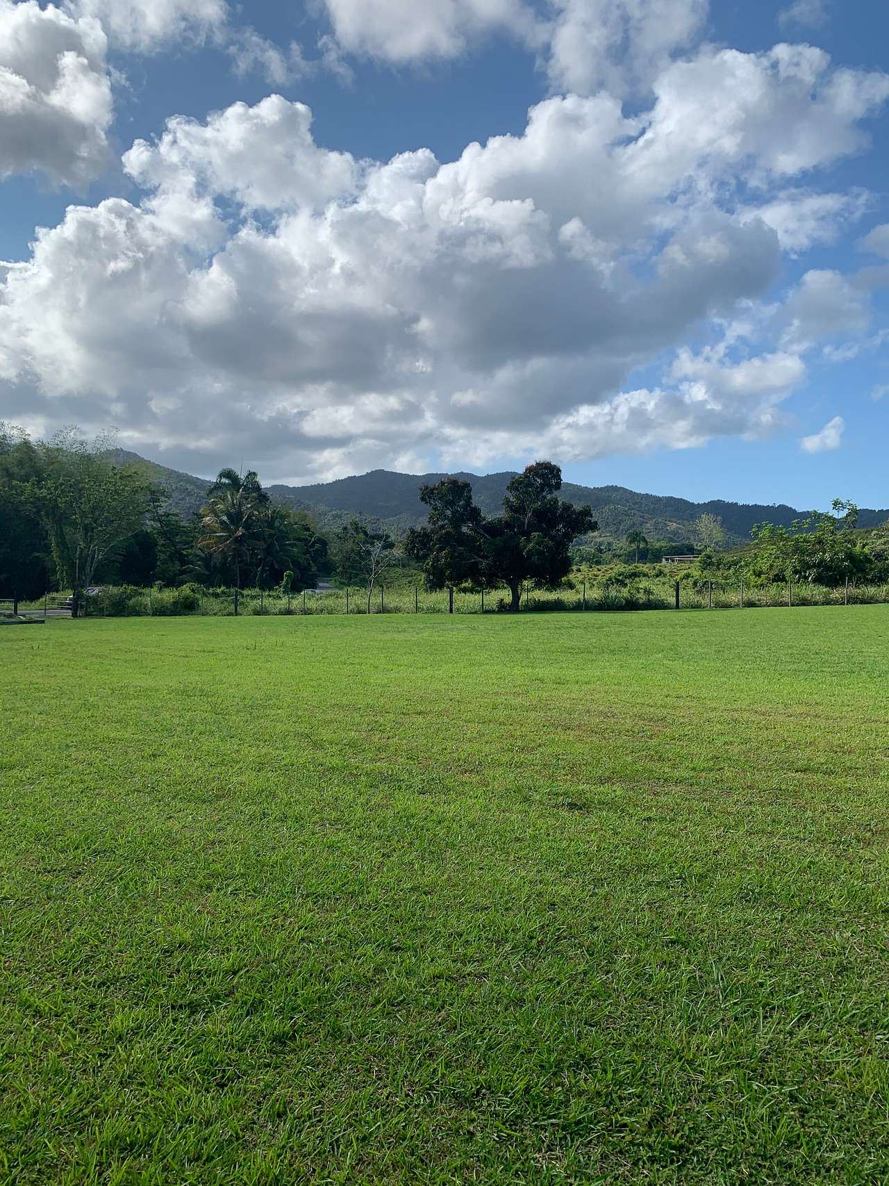 El Yunque Rest & Recharge