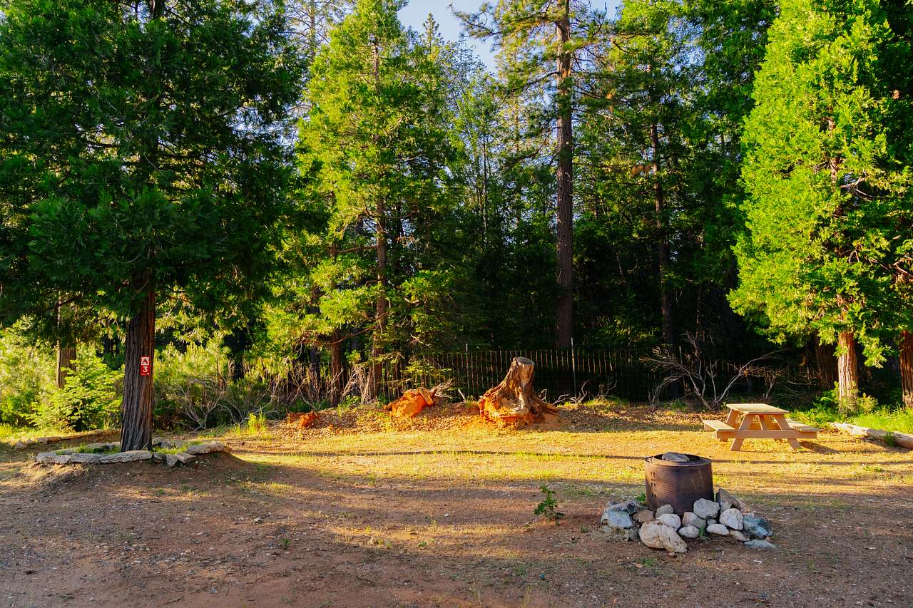 Alta Pines Camp