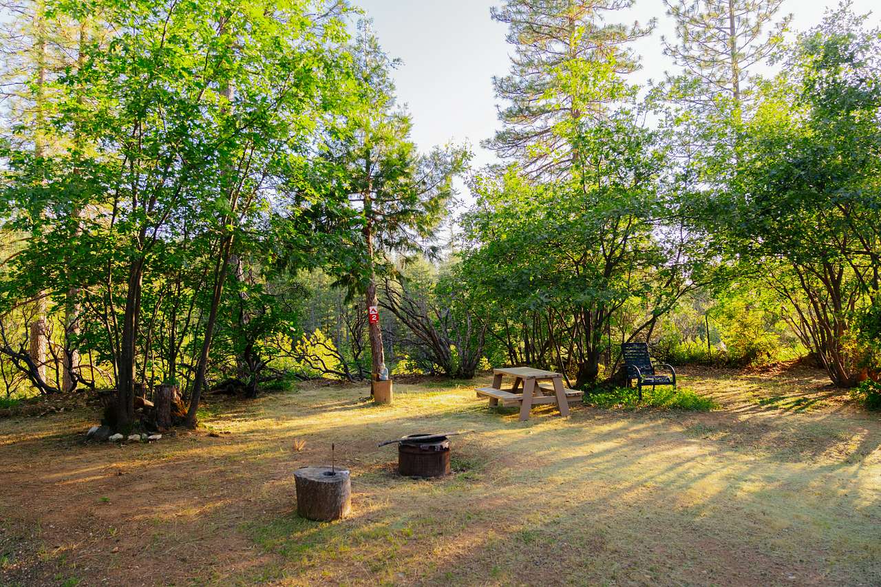 Alta Pines Camp