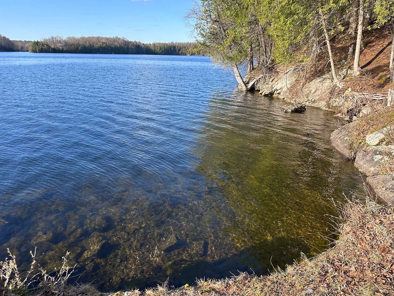 Cedar Cove Campsite