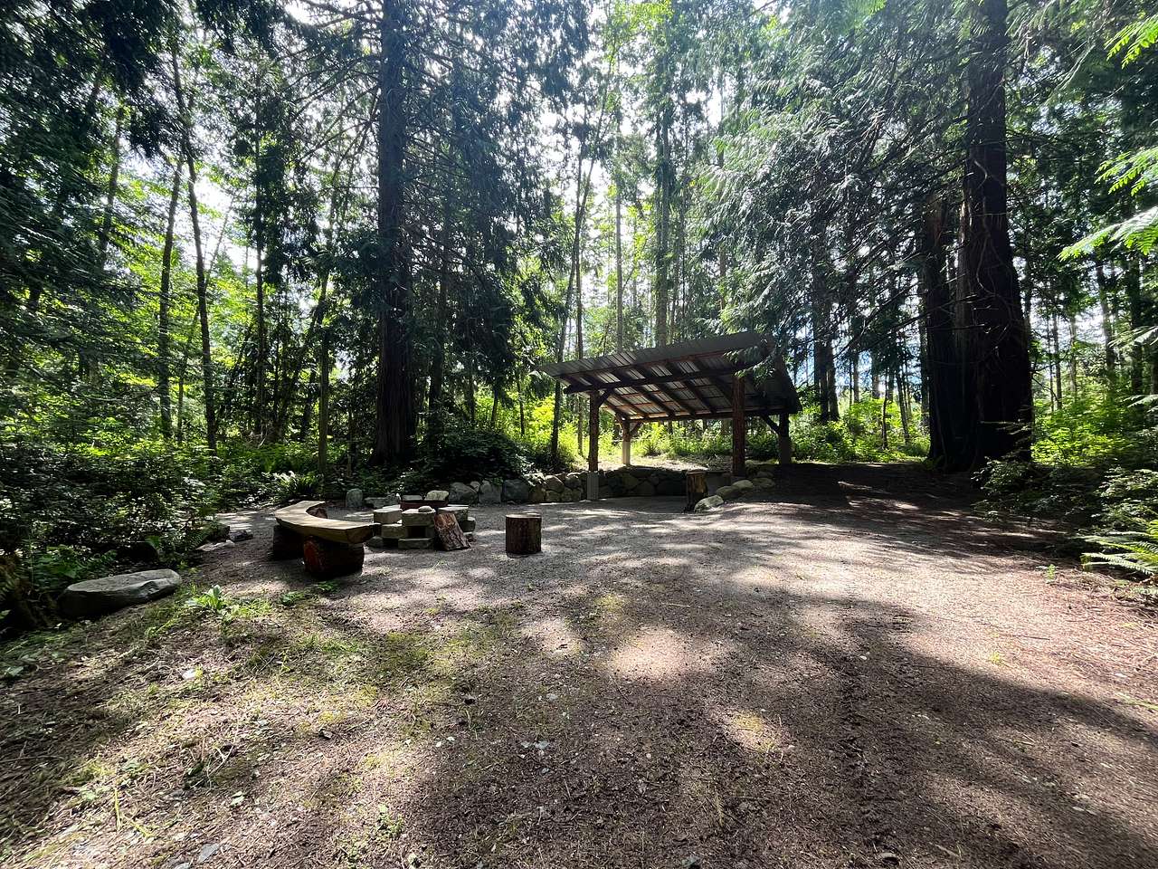 The Last Of The Wonder Woods