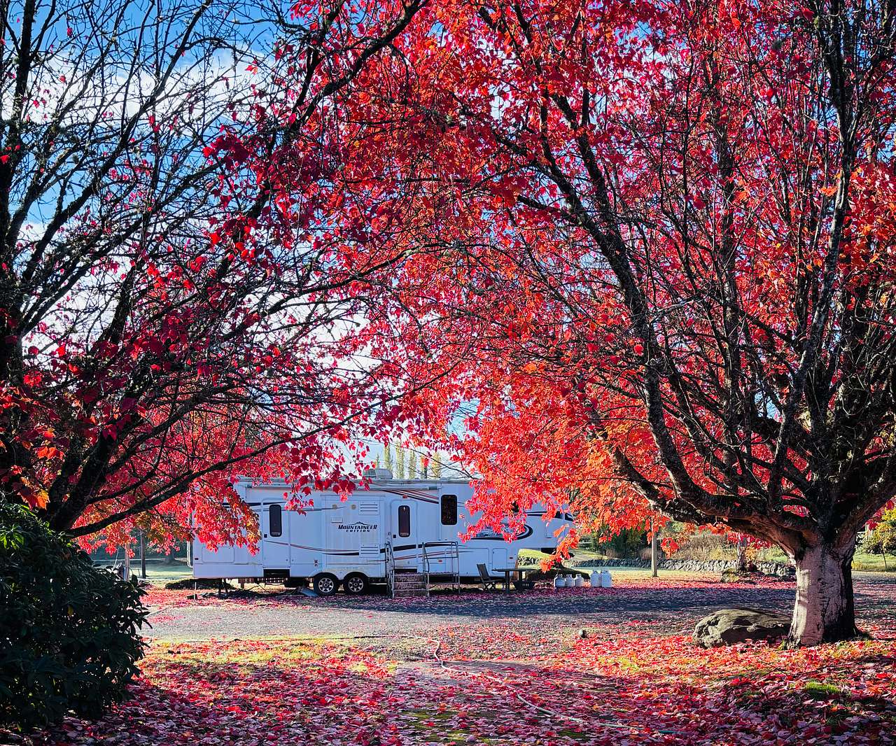 Soundview Farm