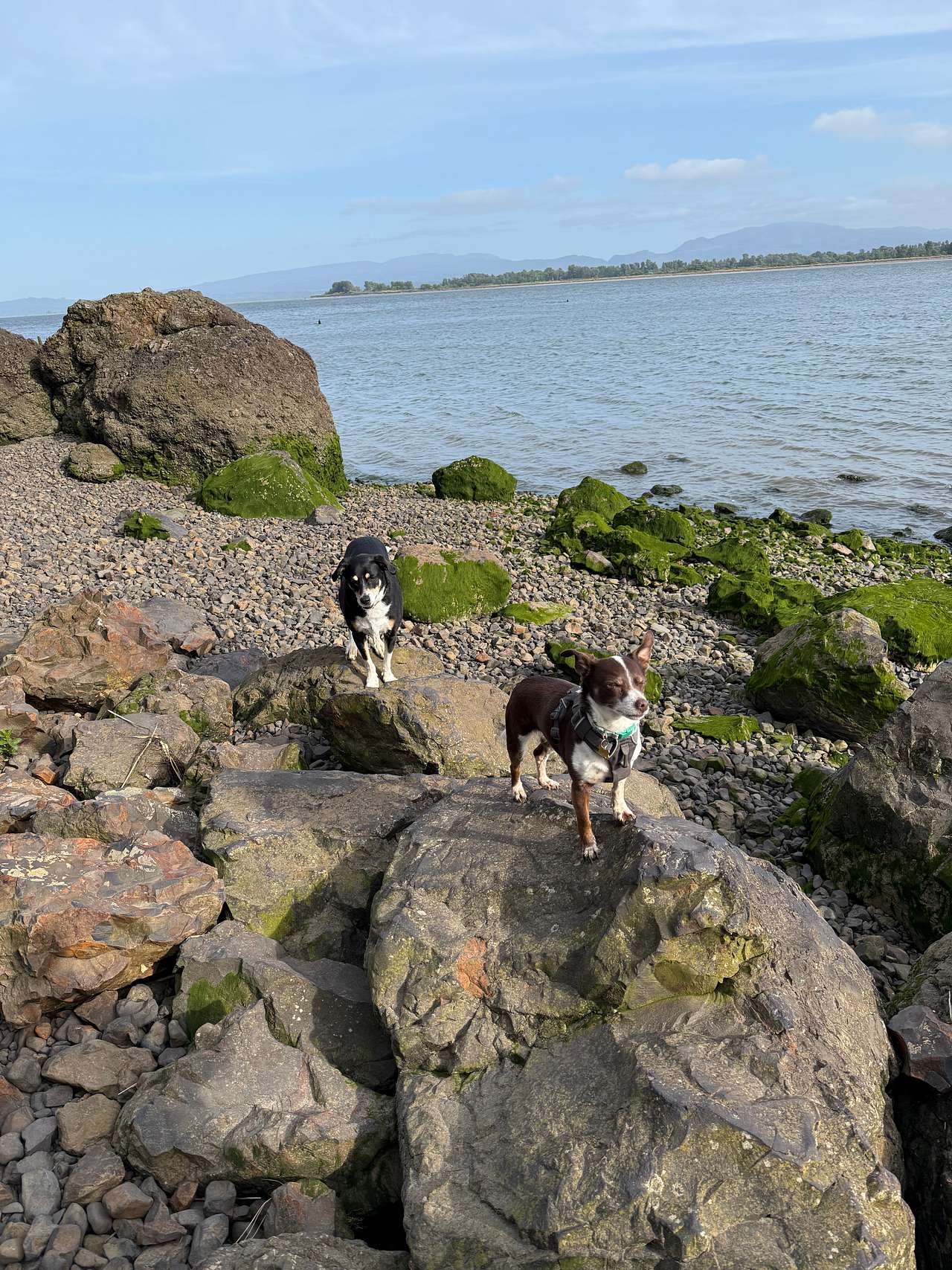 Nearby beach