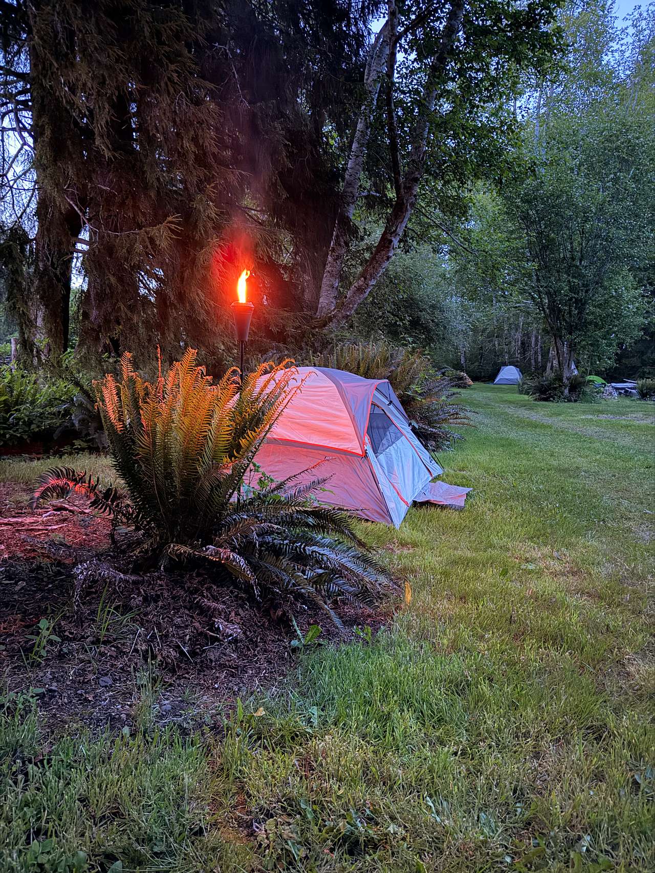 Fly Inn And Camp