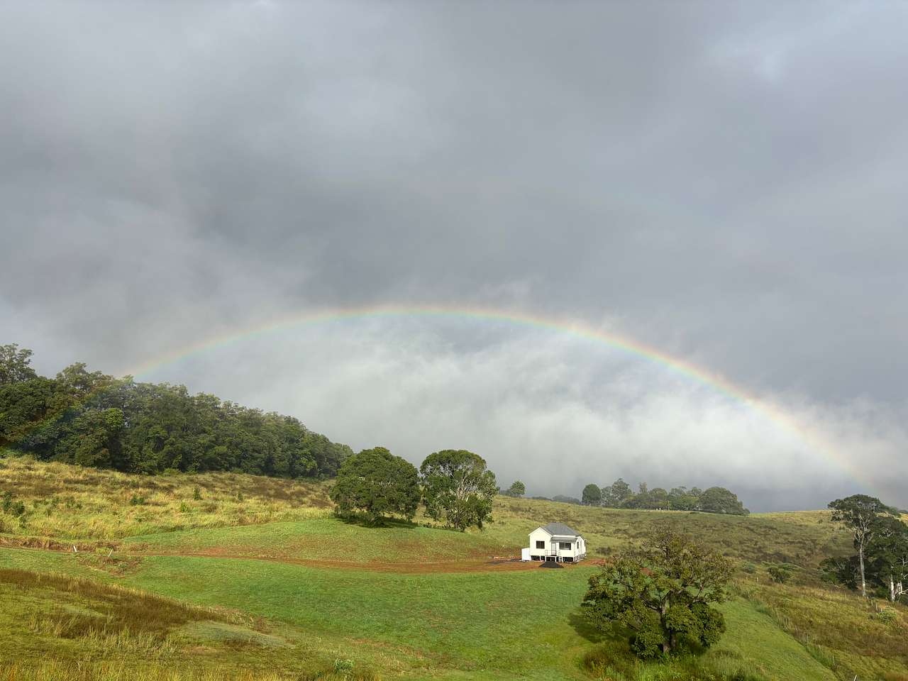 The Meadow -Byron Hinterlands Domes
