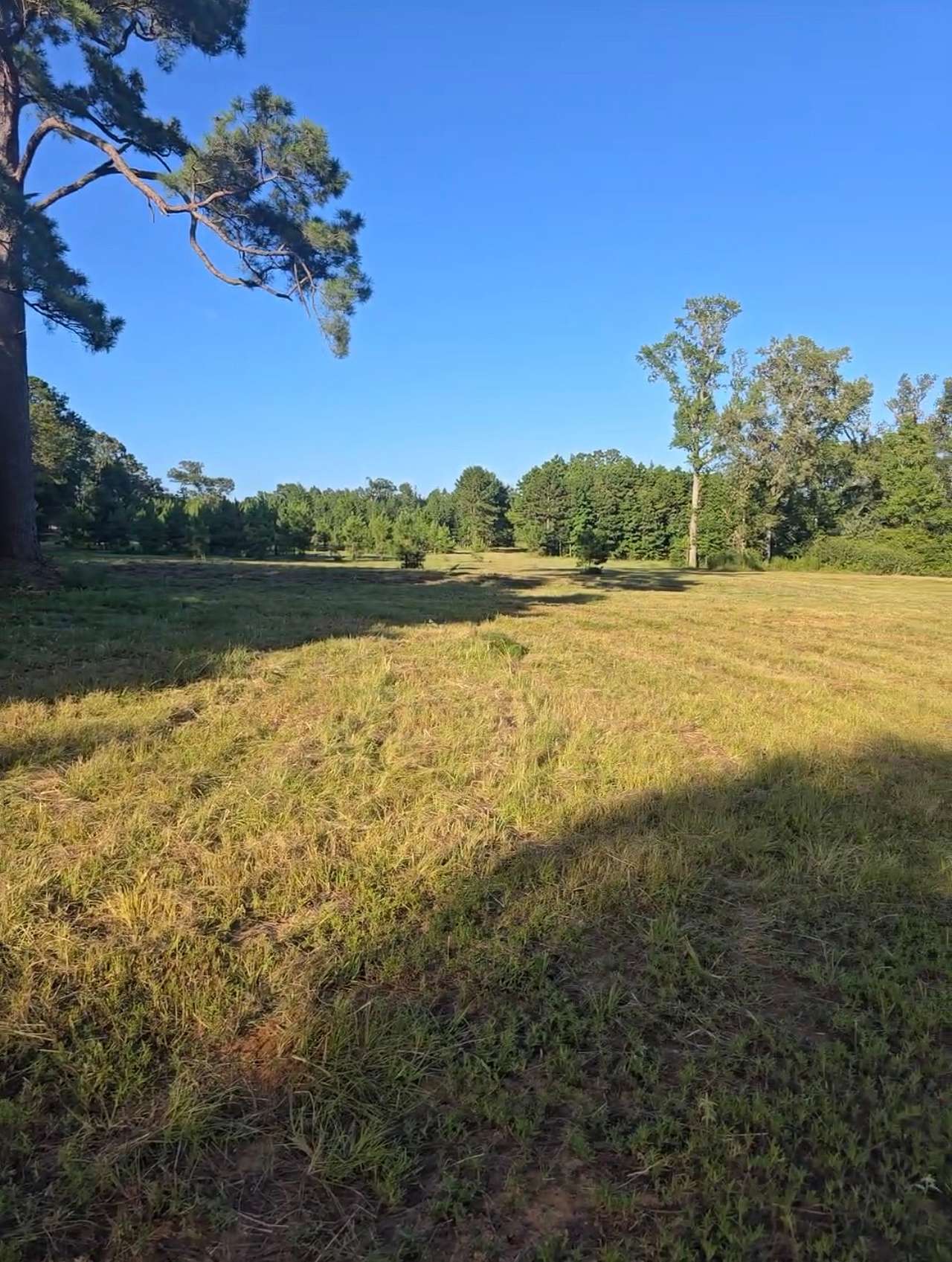 Open Acres at Canopy Ridge