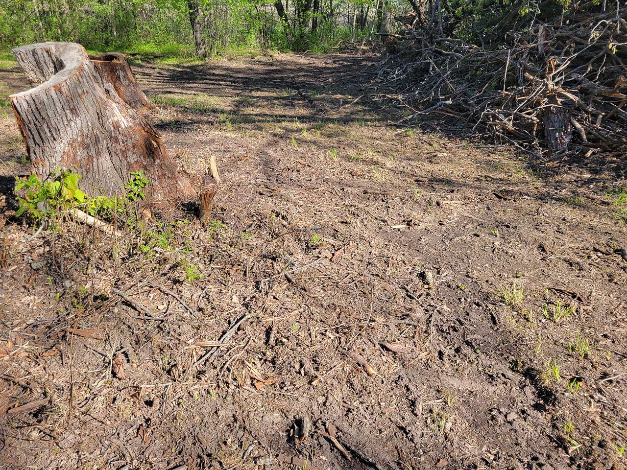 Facing the railroad tracks. Storm damaged tree pile on the right