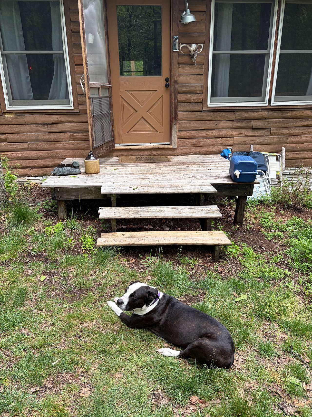 A 1000 Miles from Nowhere Cabin