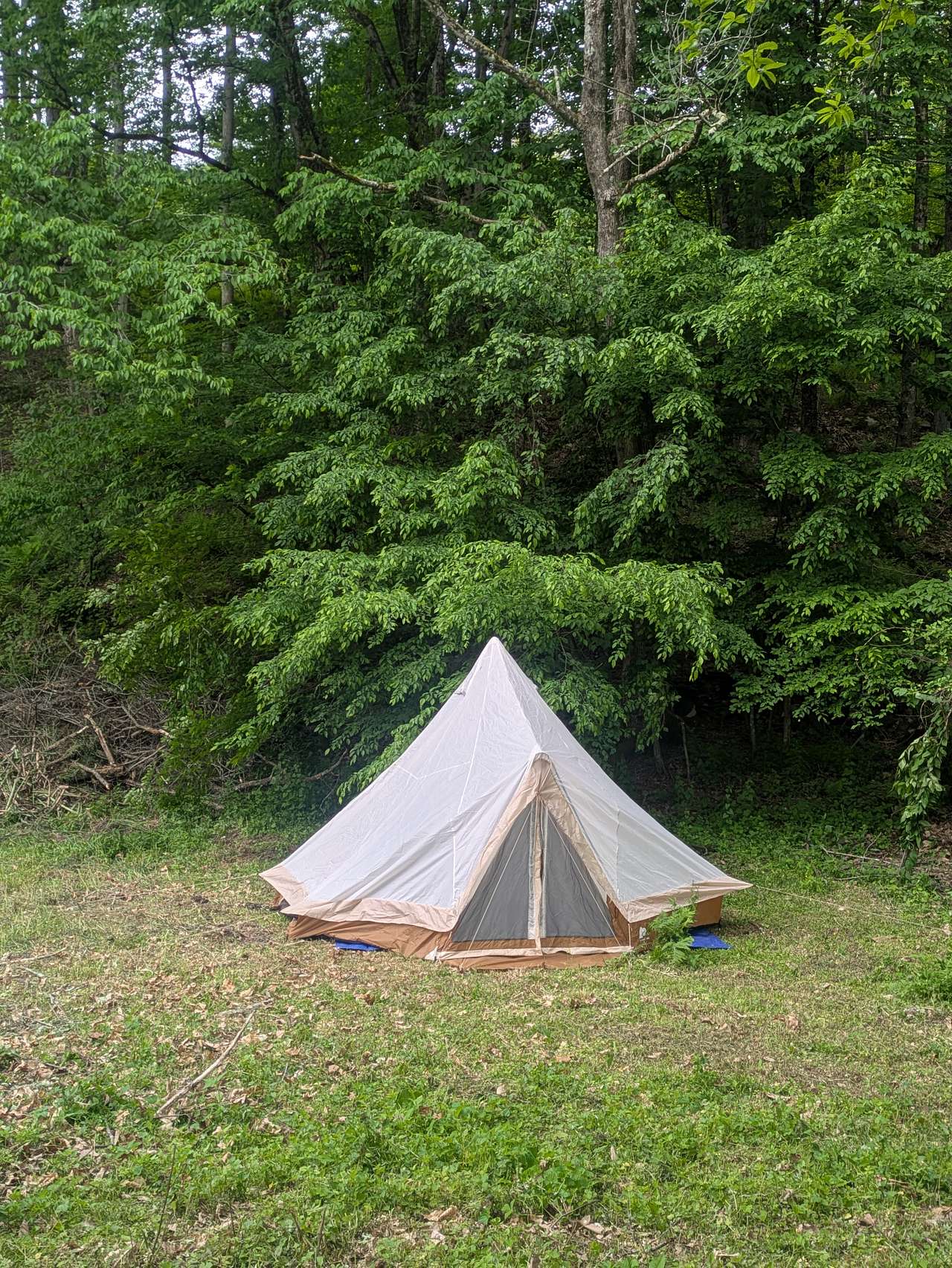 Camp Razoo