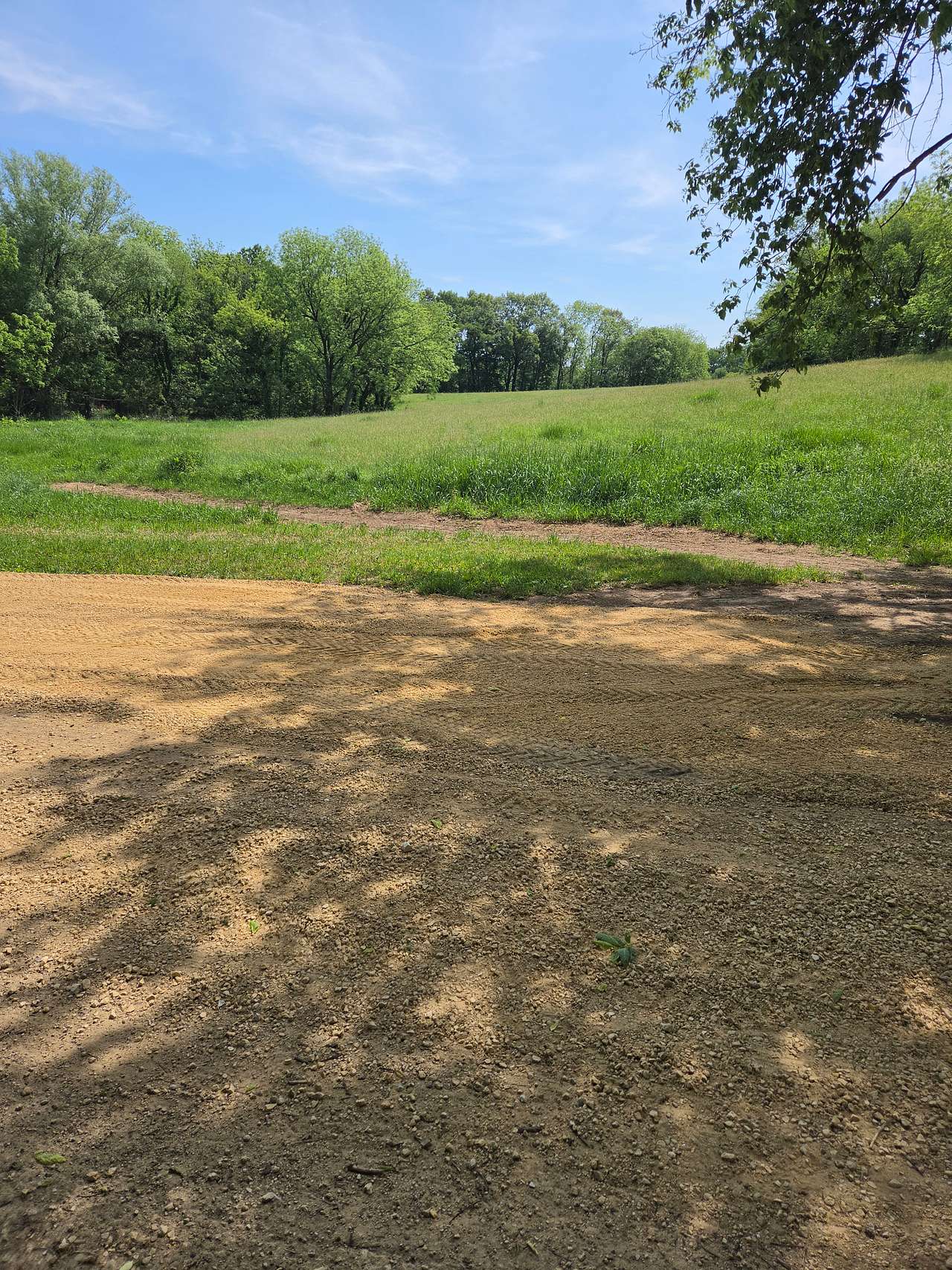 Limestone Bluff