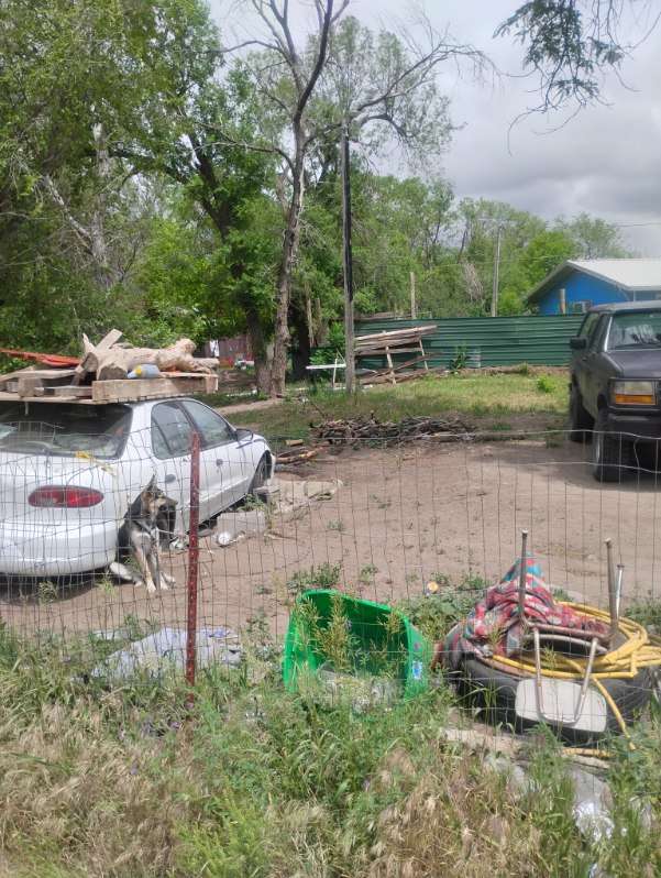 Charlie RV Campsite