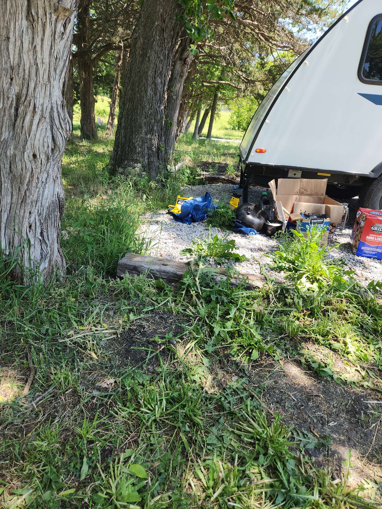 Camp site
