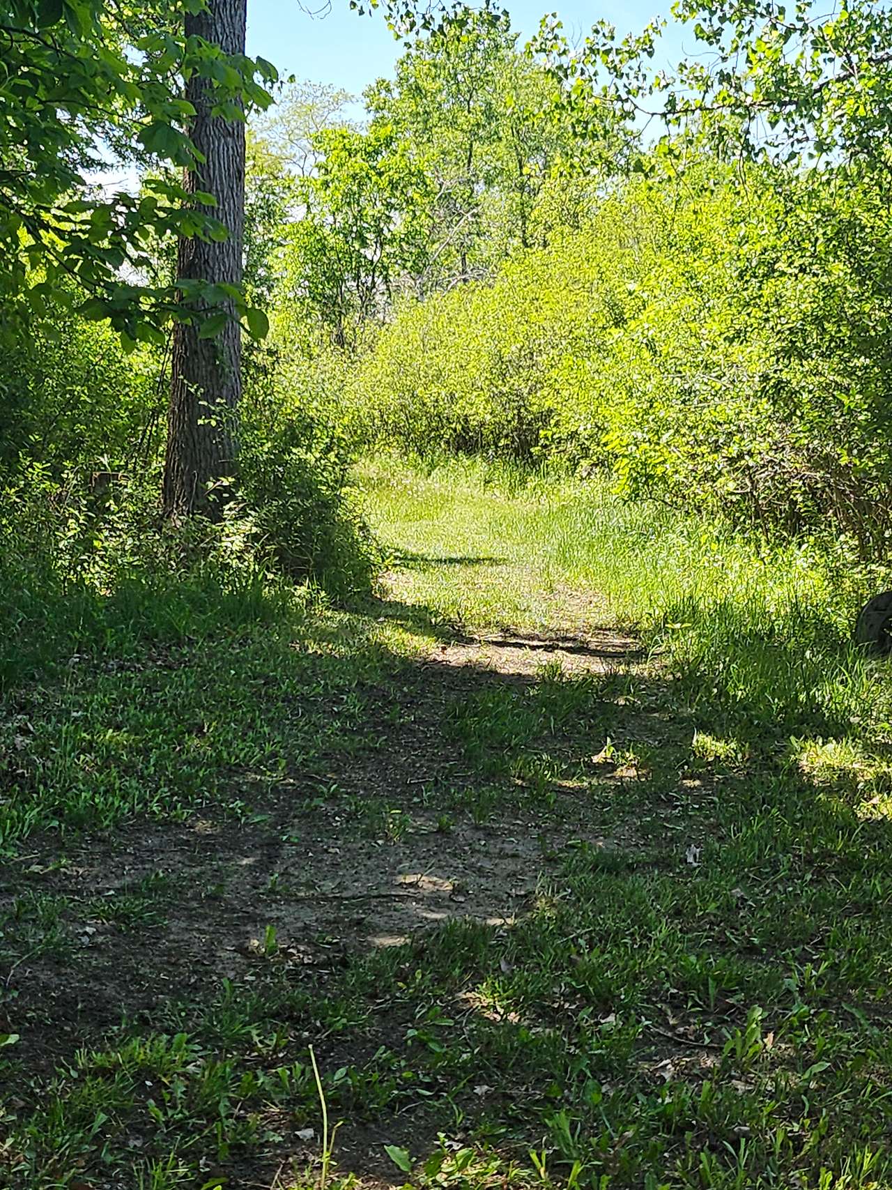 Whitetail Acres @ 9 Point Creek