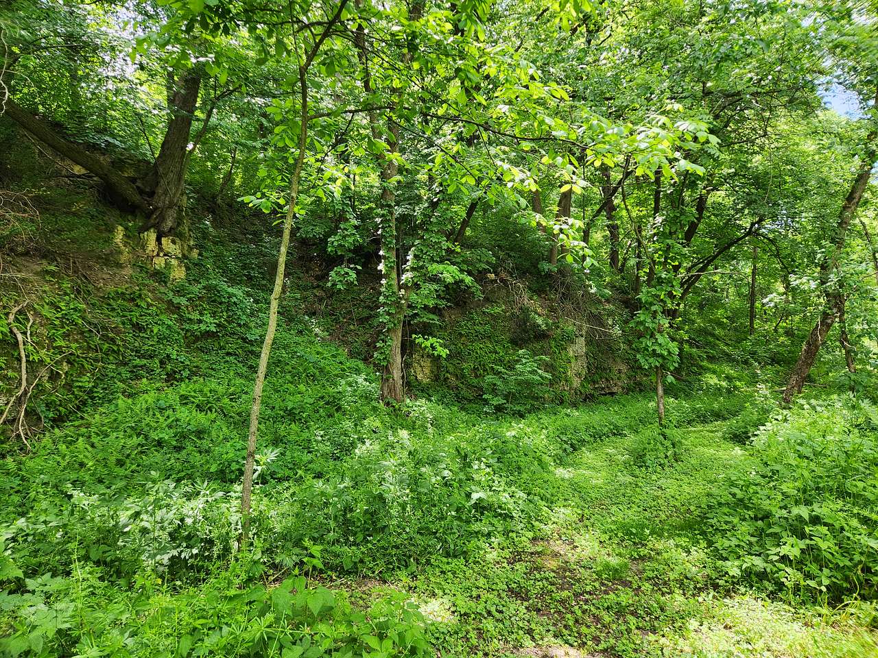 Limestone Bluff